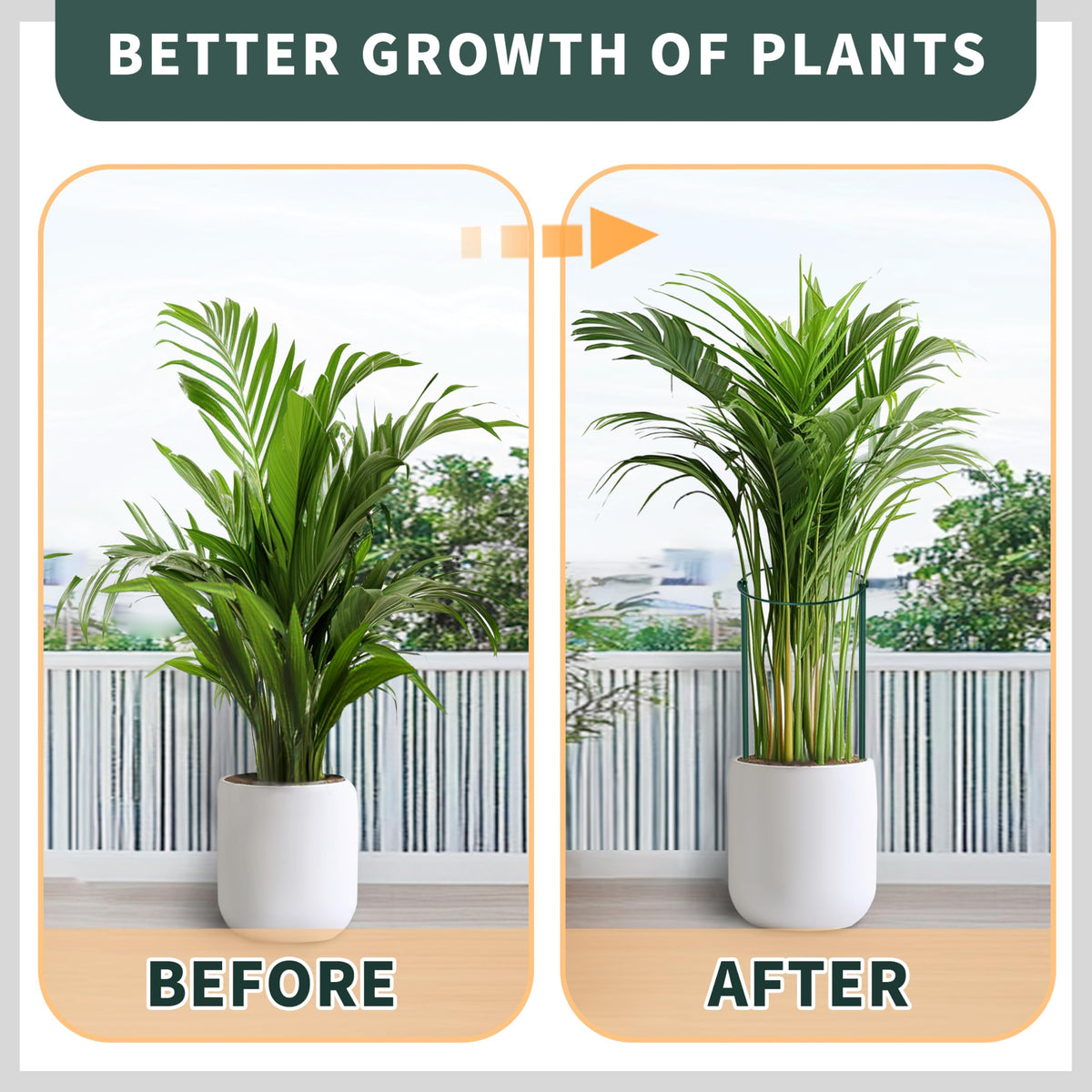 TCBWFY tall plant support ideal for peonies, roses, hydrangeas, and tomatoes.