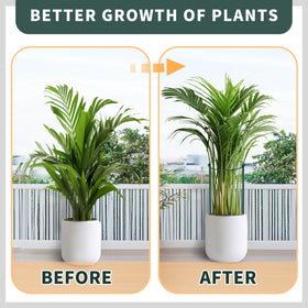 TCBWFY tall plant support ideal for peonies, roses, hydrangeas, and tomatoes.