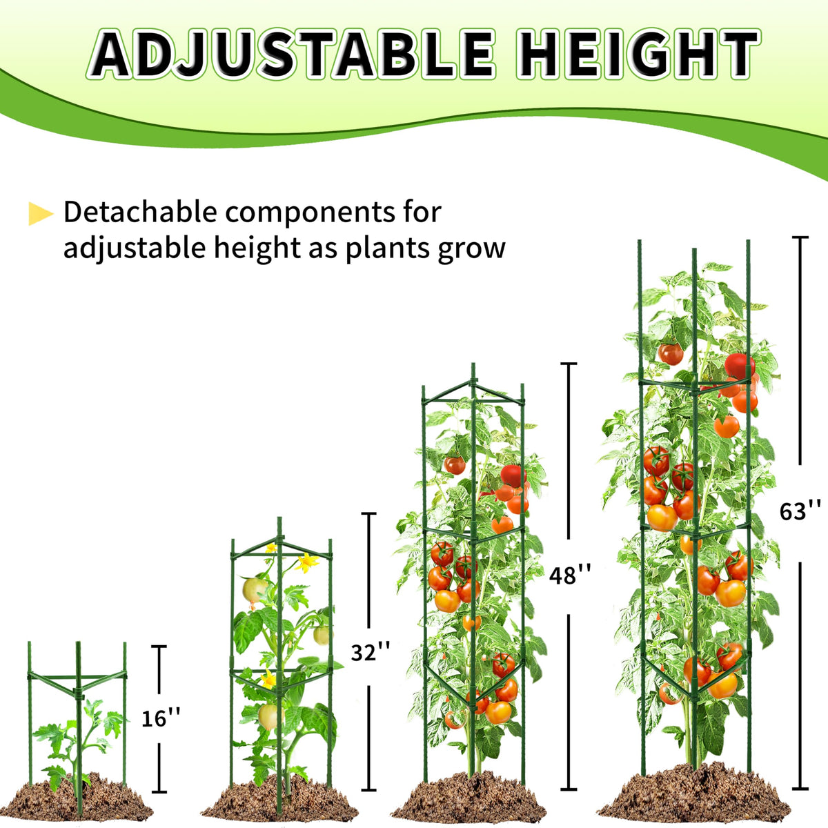 TCBWFY fits in pots and compact spaces, keeping plants upright.