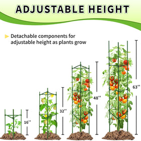 TCBWFY fits in pots and compact spaces, keeping plants upright.