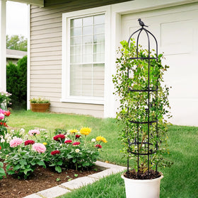 TCBWFY vertical growing solution ideal for small balconies and patios.