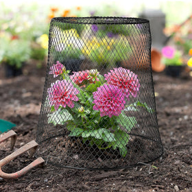Tcevily black garden protector demonstrates durable, low-profile defense.
