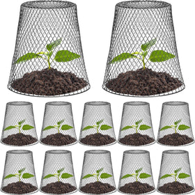 Tcevily chicken wire cloche assembly shows easy setup around a plant for protection.