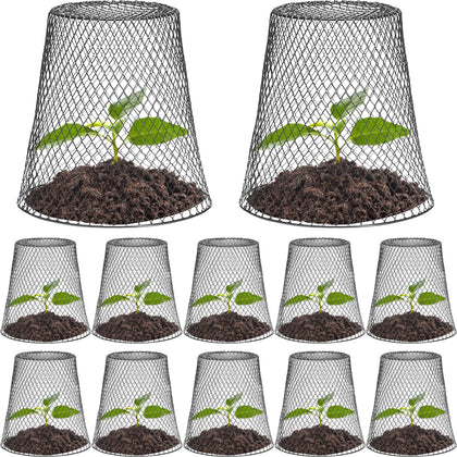 Tcevily chicken wire cloche assembly shows easy setup around a plant for protection.