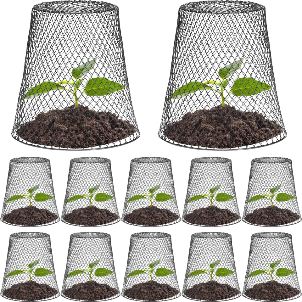 Tcevily chicken wire cloche assembly shows easy setup around a plant for protection.