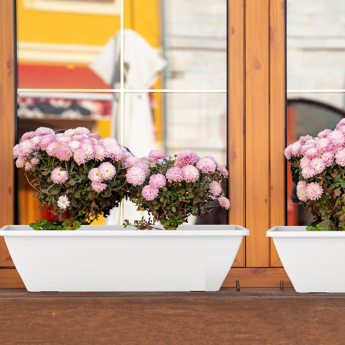 Tcevily easy-to-clean planter suitable for quick maintenance