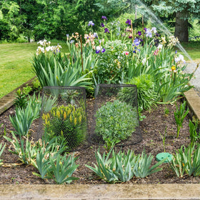 Tcevily cloche with easy installation for quick garden setup.