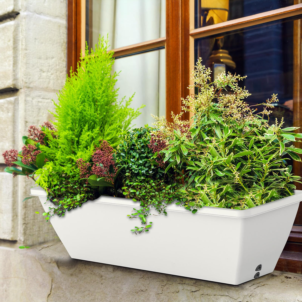 Tcevily versatile indoor/outdoor planter for herbs, flowers, and succulents