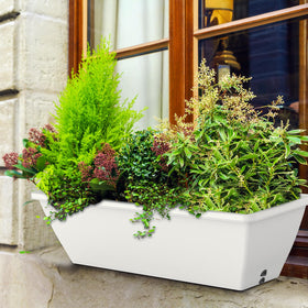 Tcevily versatile indoor/outdoor planter for herbs, flowers, and succulents
