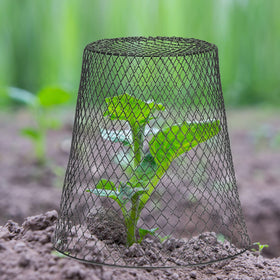 Tcevily iron mesh garden protector safeguarding plants with durable mesh.