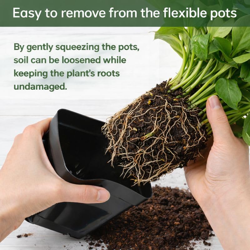 Tchrules 4-inch nursery pot with drainage holes supports healthy root development.