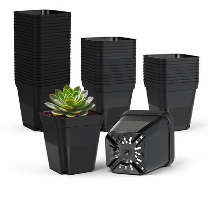 Tchrules 4-inch nursery pot top view for starting sturdy seedlings.