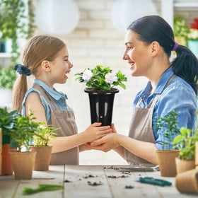 tchrules seedling pot with drainage holes promotes ventilation