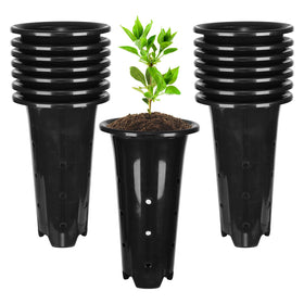 tchrules deep-seedling pot 8-66in tall black for deeper roots