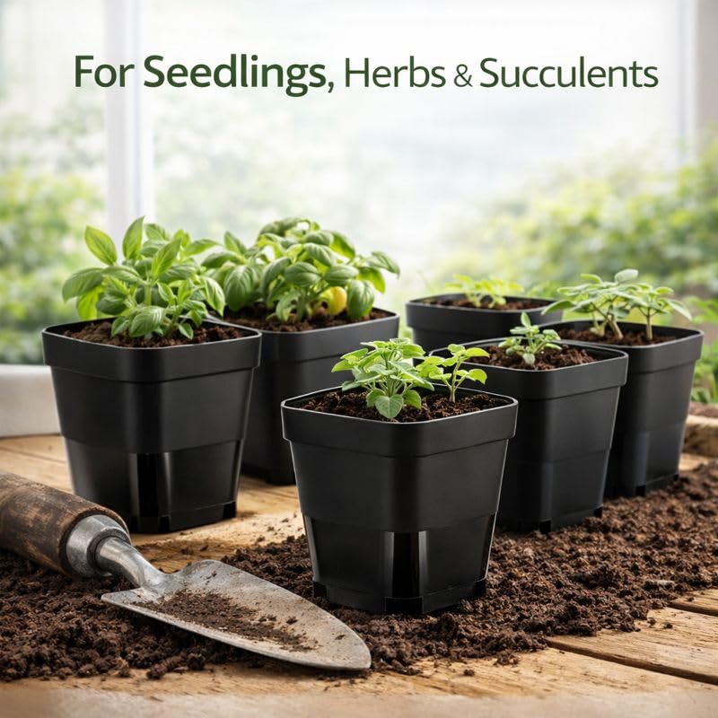 Tchrules thickened plastic seedling pots showcase durable, reusable seedling containers.