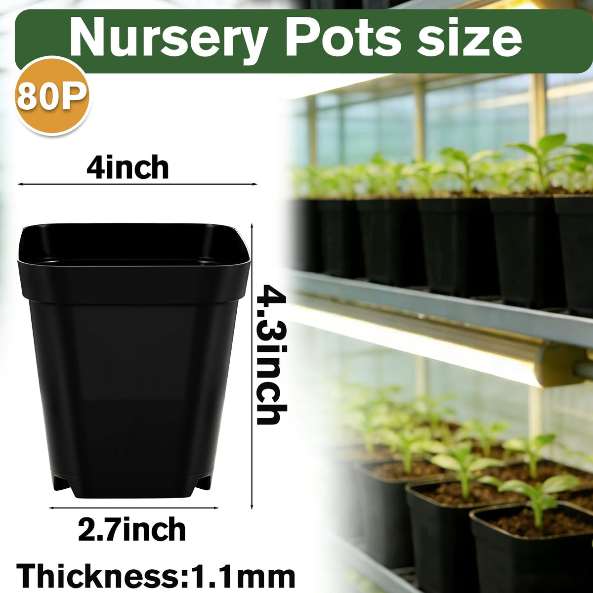 Tchrules transplant-ready pots enable easy handling for vegetables and herbs.