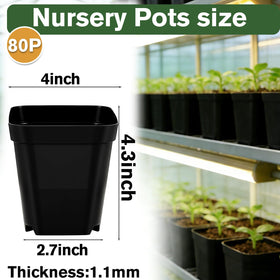 Tchrules transplant-ready pots enable easy handling for vegetables and herbs.