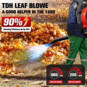 TDH gas backpack leaf blower with 205 mph wind to tackle leaves and light snow