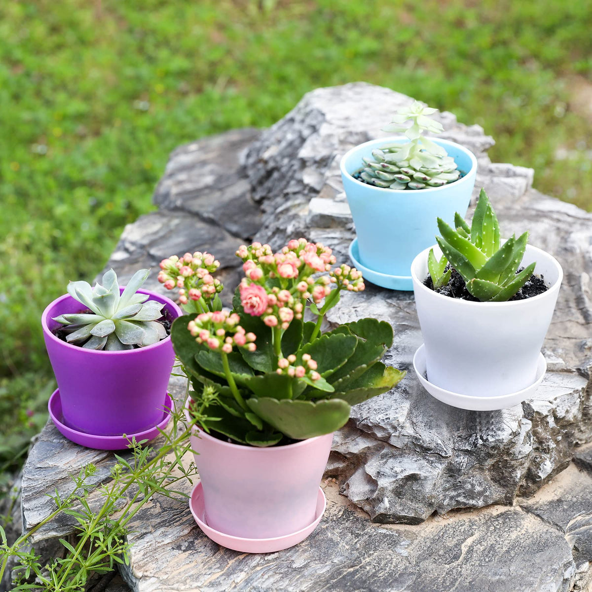 TDHDIKE 10-pack blue pots with trays enhances compact gardening projects