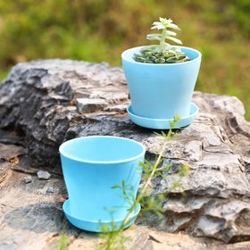 TDHDIKE blue open-design pot makes planting quick and frees root space