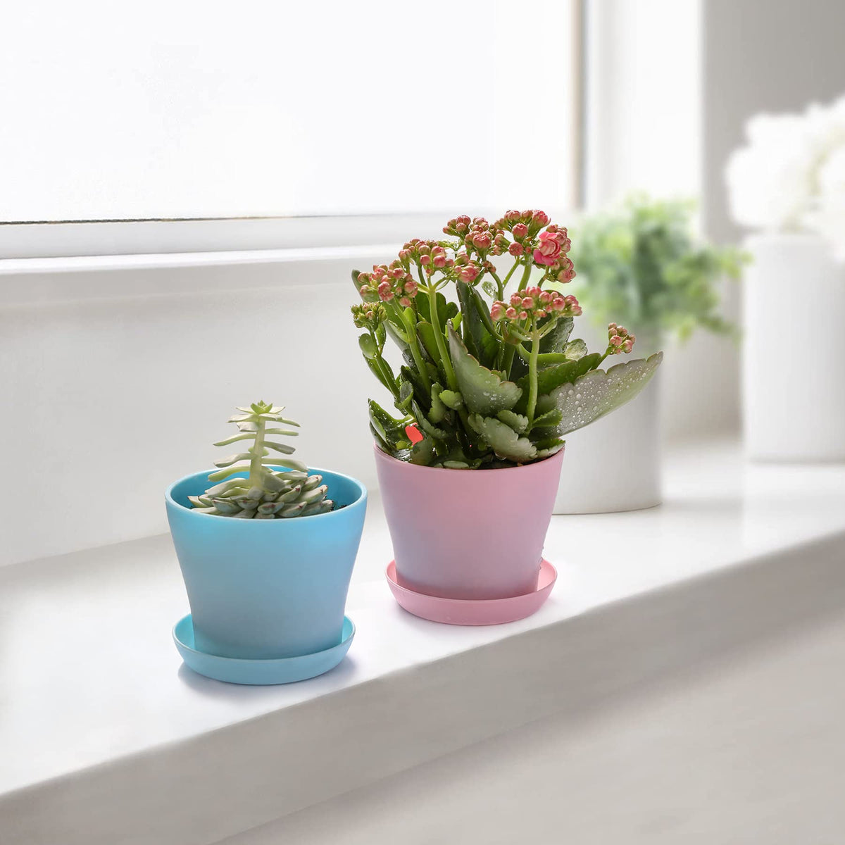 TDHDIKE mini plant pots ideal for indoor/outdoor setups and small seedlings