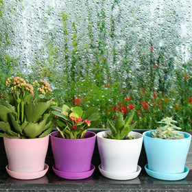 TDHDIKE small-pot system fits home or office decor with matching trays