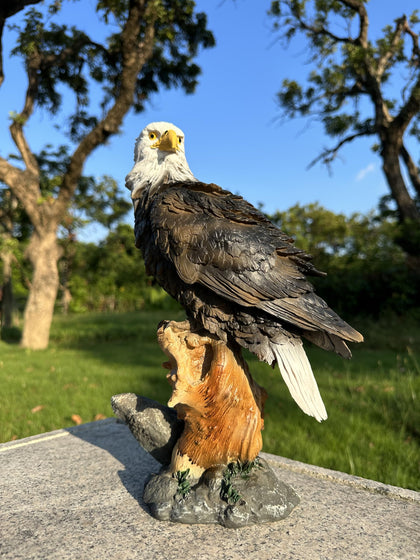 Teaeeno Majestic Eagle decor statue with wind-swept feathers enhances outdoor garden charm.