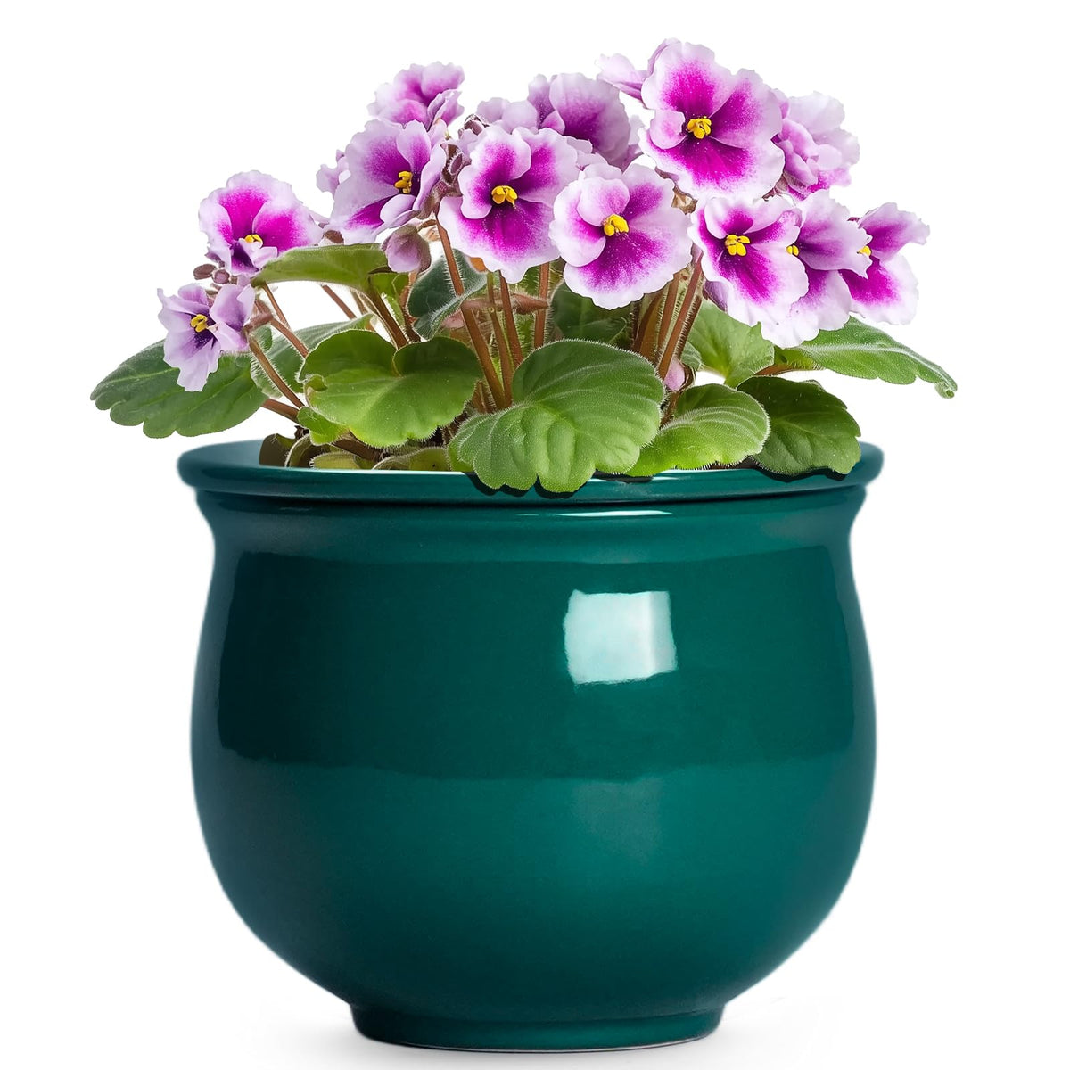 Teagas 6-inch self-watering outer pot close-up with glossy glaze