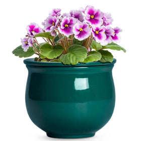Teagas 6-inch self-watering outer pot close-up with glossy glaze