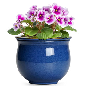 Teagas 6-inch self-watering pot with absorbent inner for balanced hydration