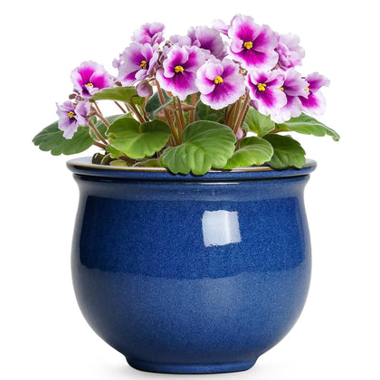 Teagas 6-inch self-watering pot with absorbent inner for balanced hydration