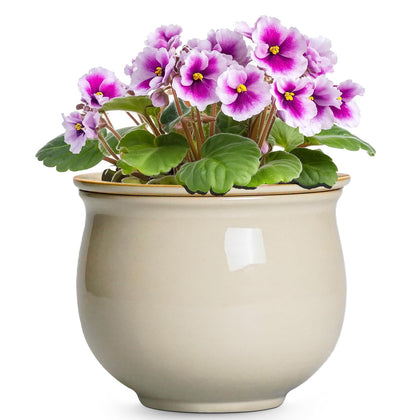 Teagas 6-Inch self-watering pot outer glaze adds durability and style to indoor planters.