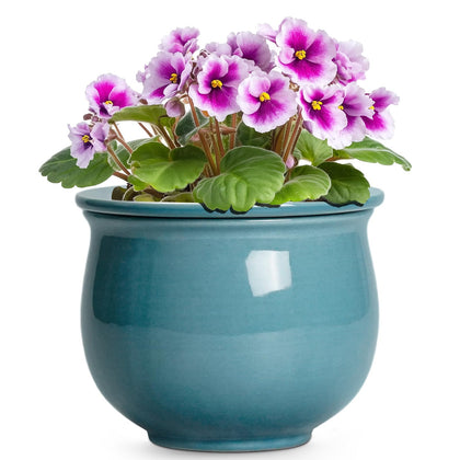 Teagas 6-inch African Violet Pot with self-watering design for easy indoor care.