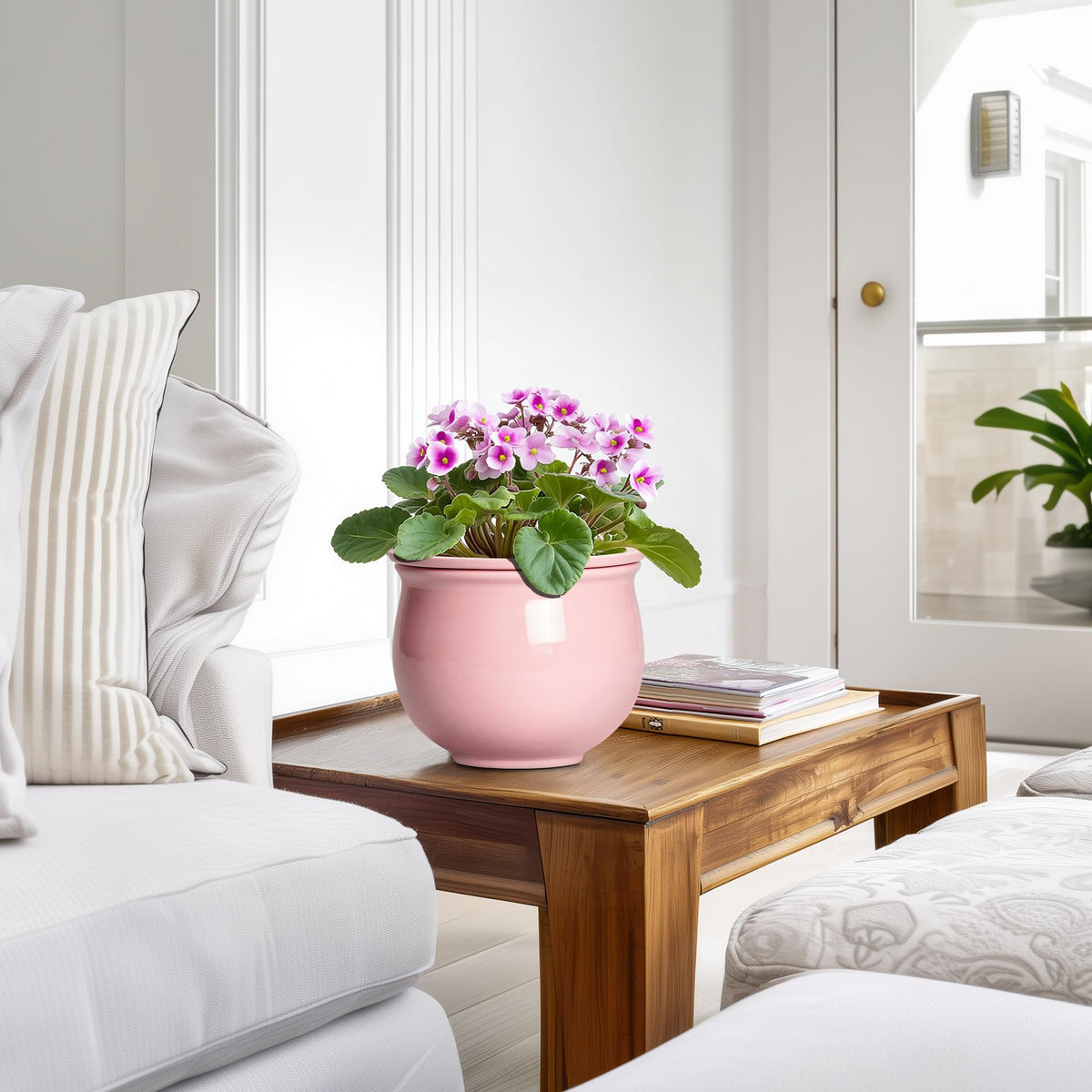 Teagas gift-ready plant pot packaging for plant lovers