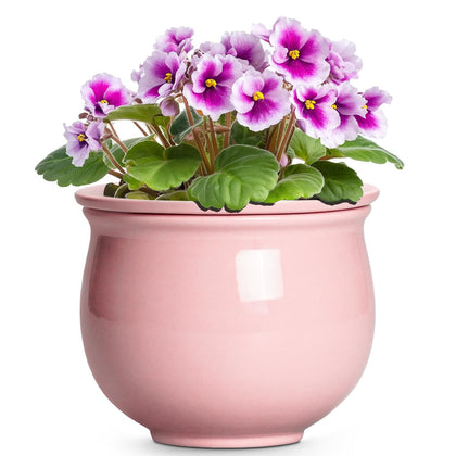 Teagas African Violet Pots outer ceramic pot with glossy finish for stylish indoor decor