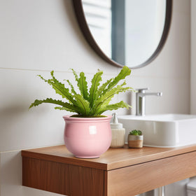 Teagas pink planter on a sunny windowsill enhances room decor