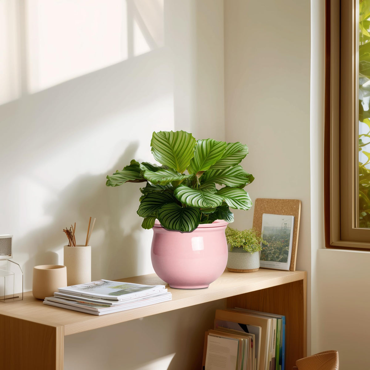 Teagas clay inner pot with high absorption for even hydration