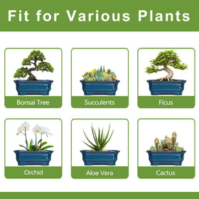 Teagas rectangular planter pairs with bonsai, succulents, orchids, and herbs