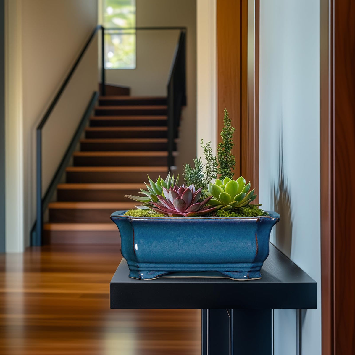 Teagas Bonsai pot on a sunlit windowsill showing versatile decor