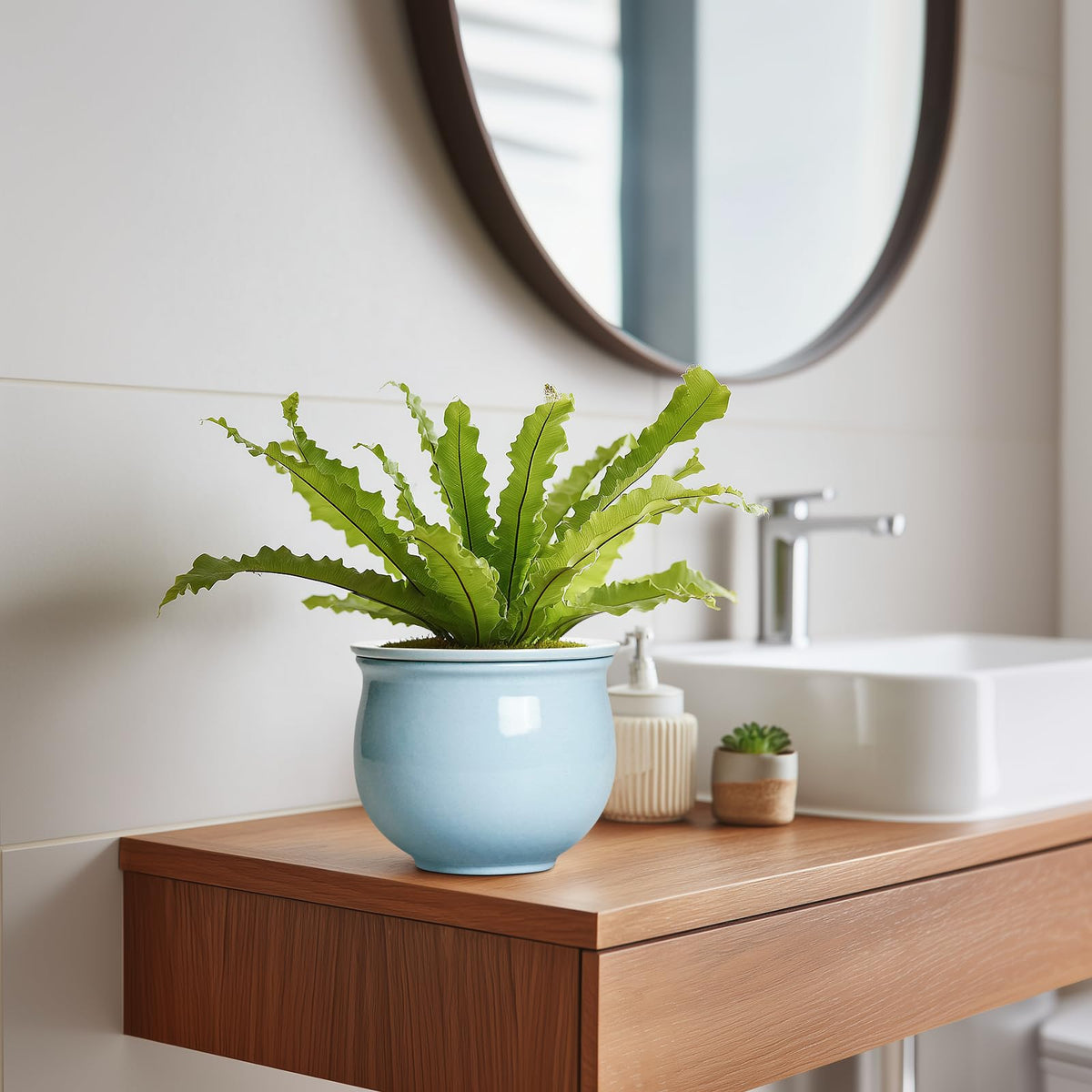 Teagas desk-friendly decor pot adds calm color to your workspace.