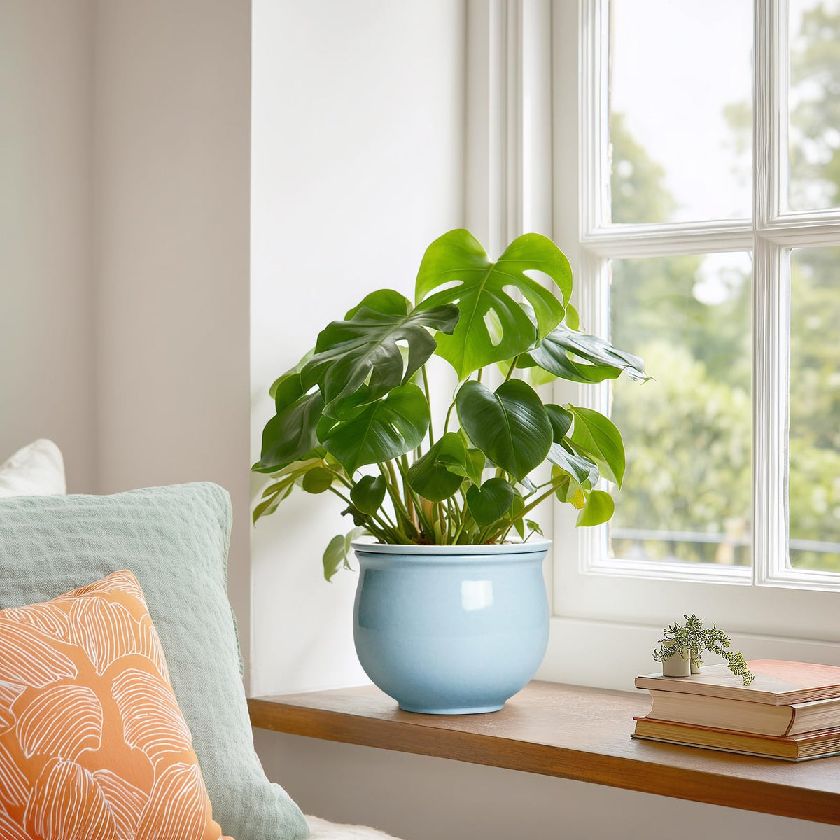 Teagas ceramic pot showcases glazed interior and exterior for a polished look.