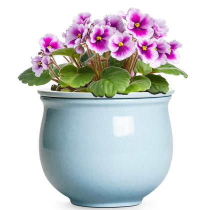 Teagas ceramic African violet pot with glazed outer pot for stylish indoor gardening.