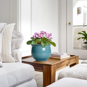 Teagas ceramic planter makes a thoughtful gift for plant lovers.