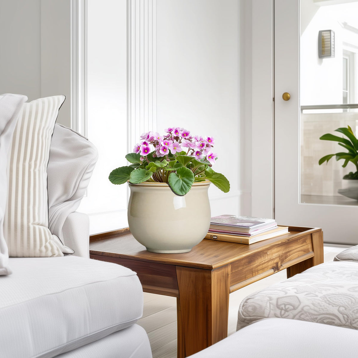 Teagas gift-ready design makes a thoughtful present for plant lovers.