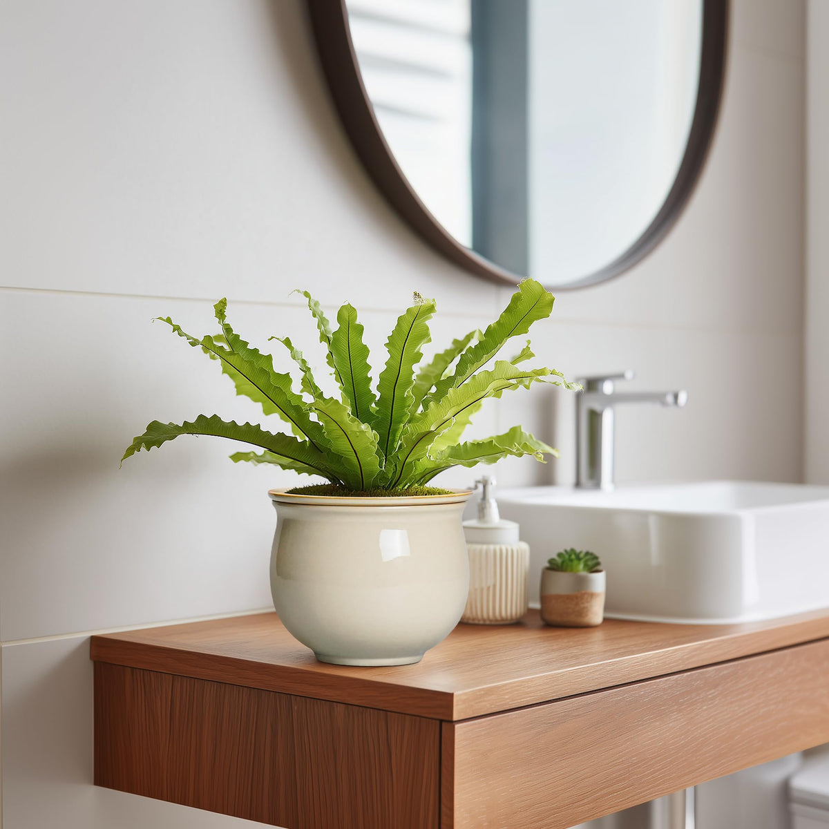 Teagas self-watering pot for indoor plant use cases in home and office spaces.