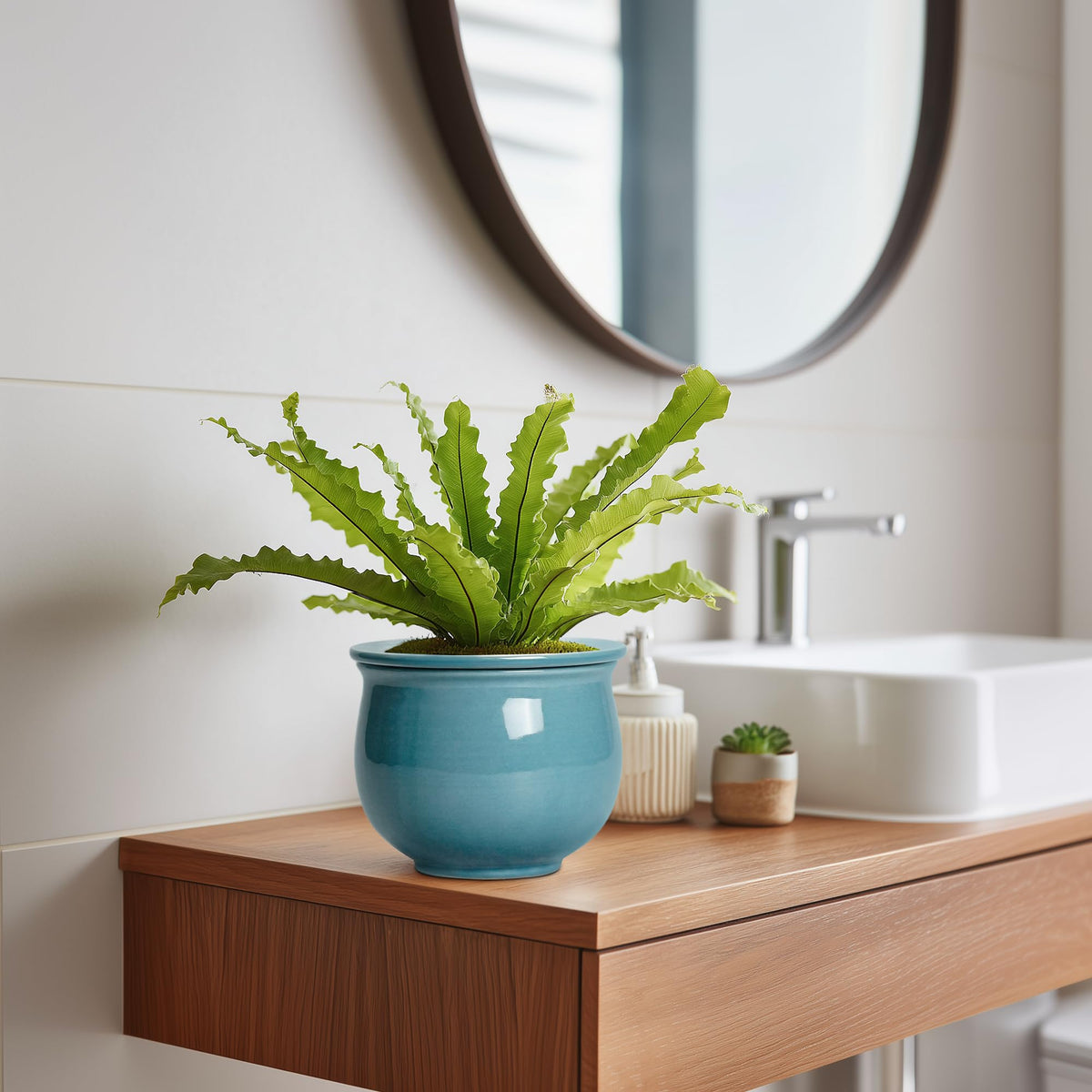 Teagas indoor plant pot suitable for small plants and herbs on a desk.