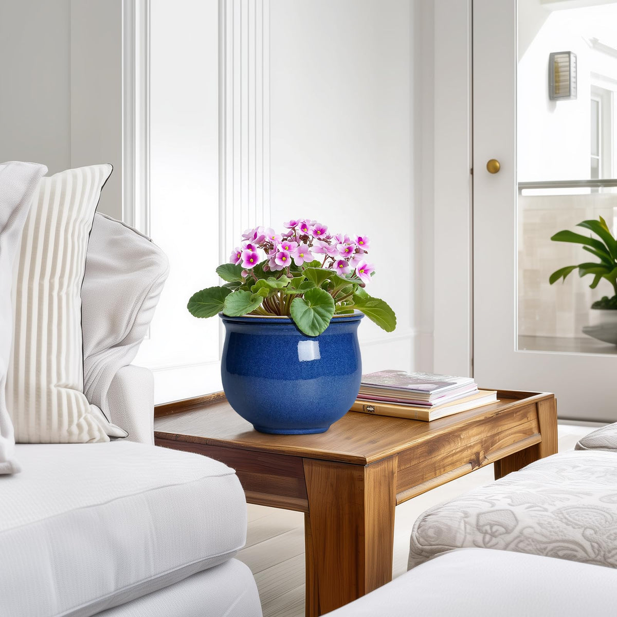Teagas self-watering pot gift idea for plant lovers