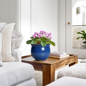 Teagas self-watering pot gift idea for plant lovers