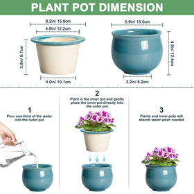 Teagas self-watering inner pot showing absorbent clay for moisture balance.