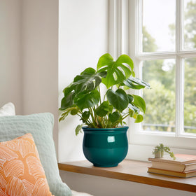 Teagas self-watering pots integrated into room decor setting